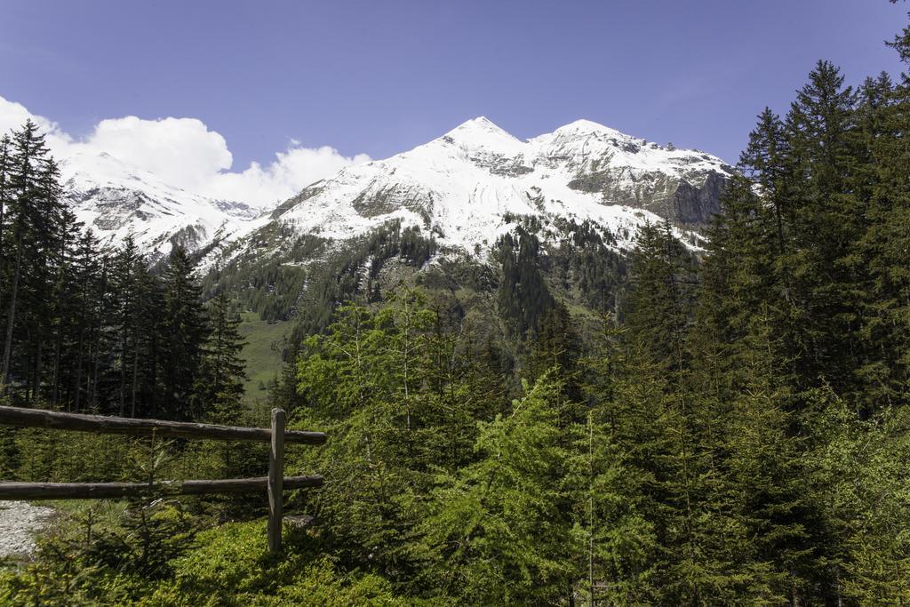 Gasthof Andrelwirt Раурис Экстерьер фото