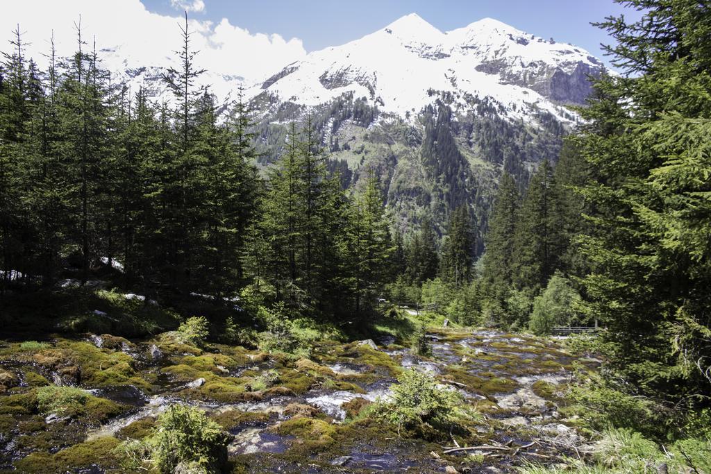 Gasthof Andrelwirt Раурис Экстерьер фото